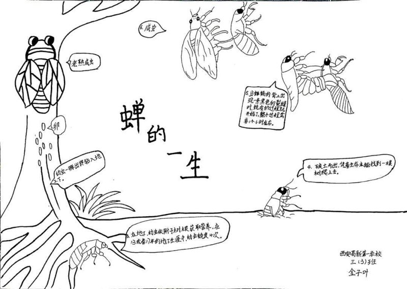 教育之花在西安绽放